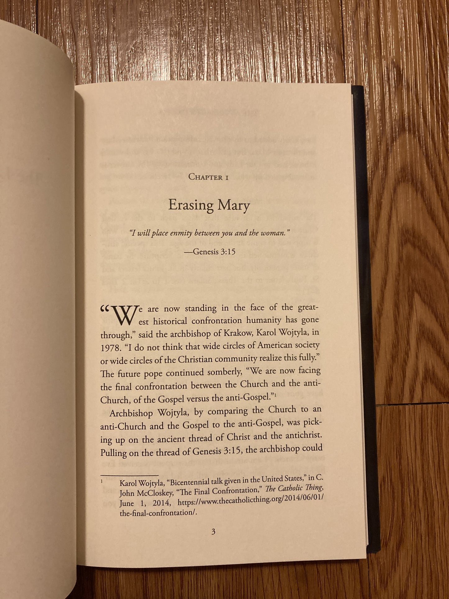 The Anti-Mary Exposed: Rescuing the Culture from Toxic Femininity