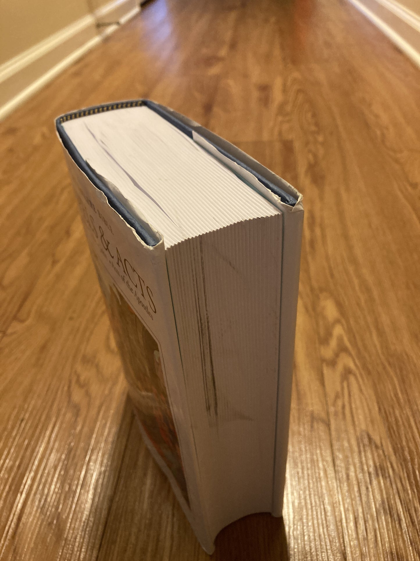 Navarre Bible New Testament - Hardcover Set