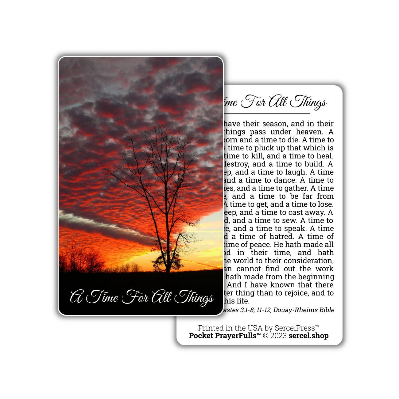 A Time For All Things, Ecclesiastes 3: Pocket PrayerFulls™ | Durable Wallet Prayer Cards | Holy Bible | Scripture