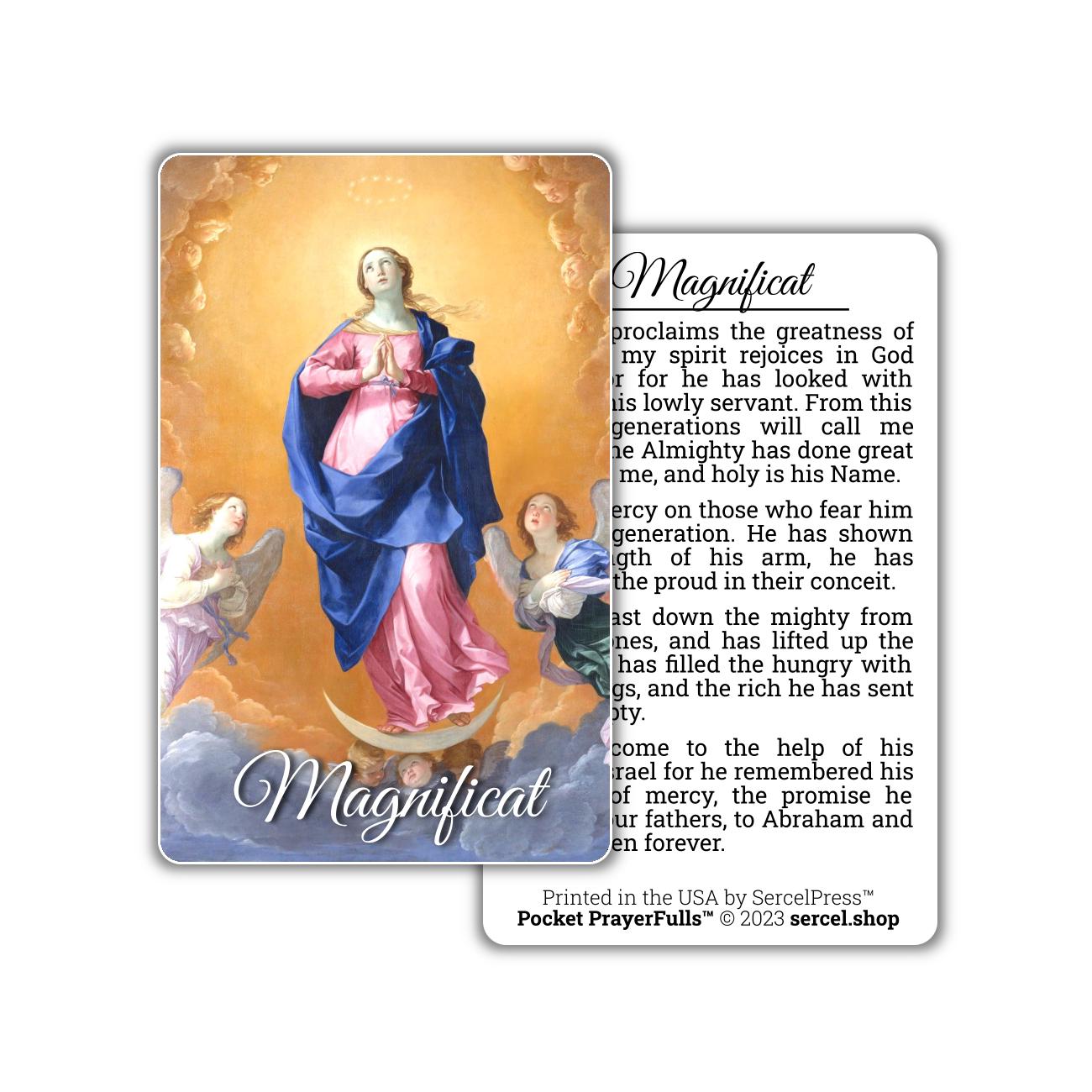 Mary's Collection: 9 Holy Cards | Pocket PrayerFulls™ | Durable Wallet Prayer Cards | Our Lady
