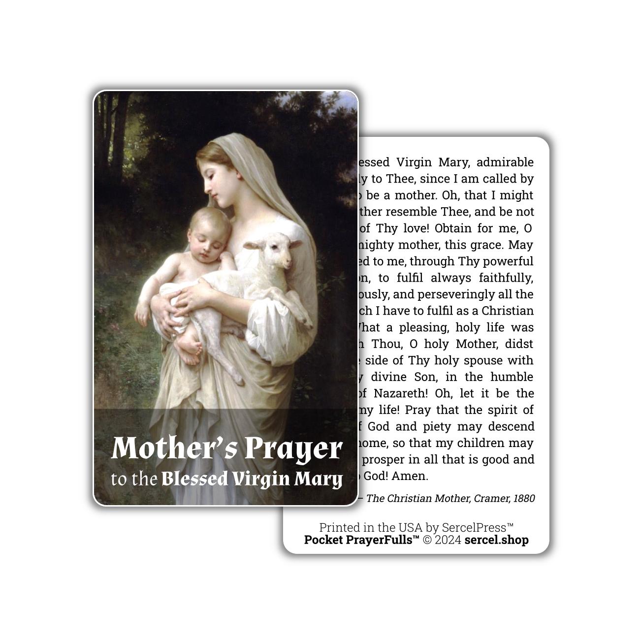 Mary's Collection: 9 Holy Cards | Pocket PrayerFulls™ | Durable Wallet Prayer Cards | Our Lady
