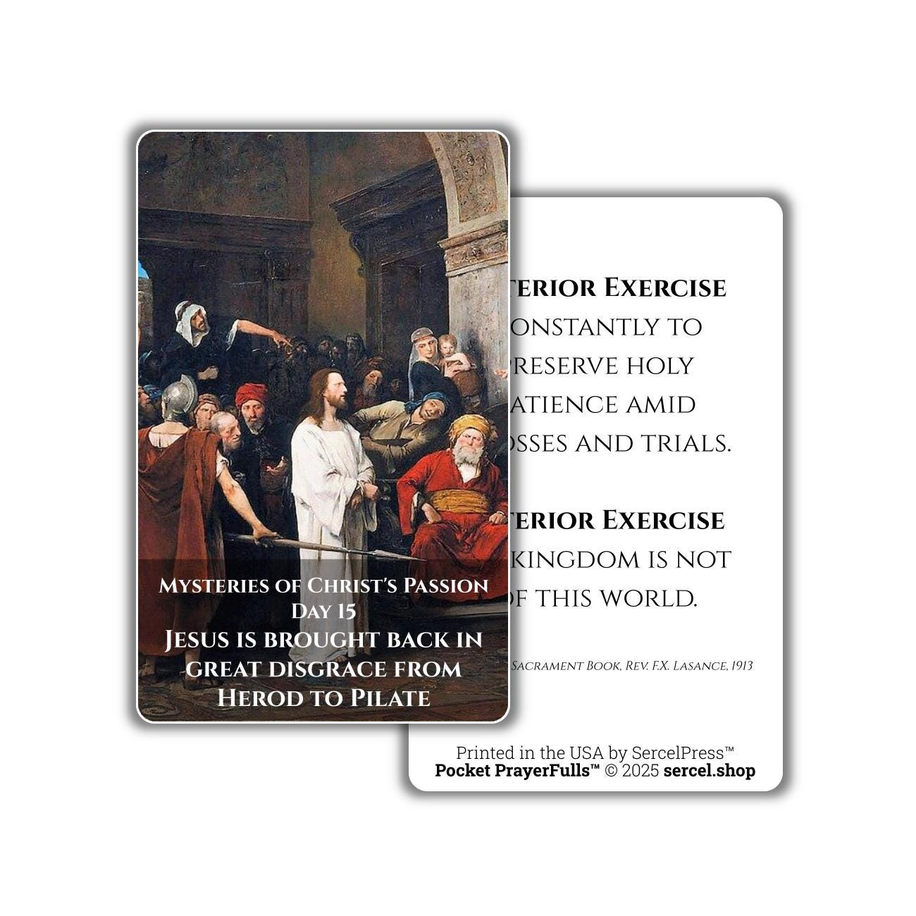 Meditations on the Sorrowful Passion, 31 Durable Plastic Cards on the Mysteries of Christ's Passion | Pocket PrayerFulls™ | Catholic Prayers