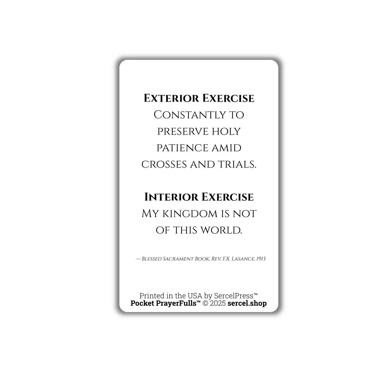 Meditations on the Sorrowful Passion, 31 Durable Plastic Cards on the Mysteries of Christ's Passion | Pocket PrayerFulls™ | Catholic Prayers