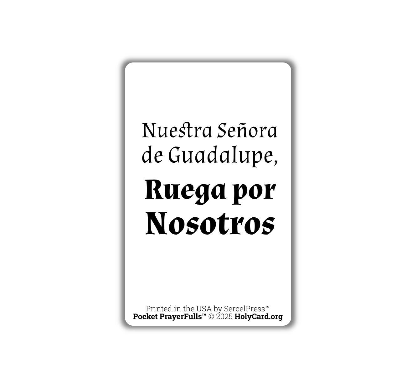 Our Lady of Guadalupe, Durable Plastic Holy Card - English or Spanish - Catholic Wallet Card - Made in the USA - Pocket PrayerFullsâ˘