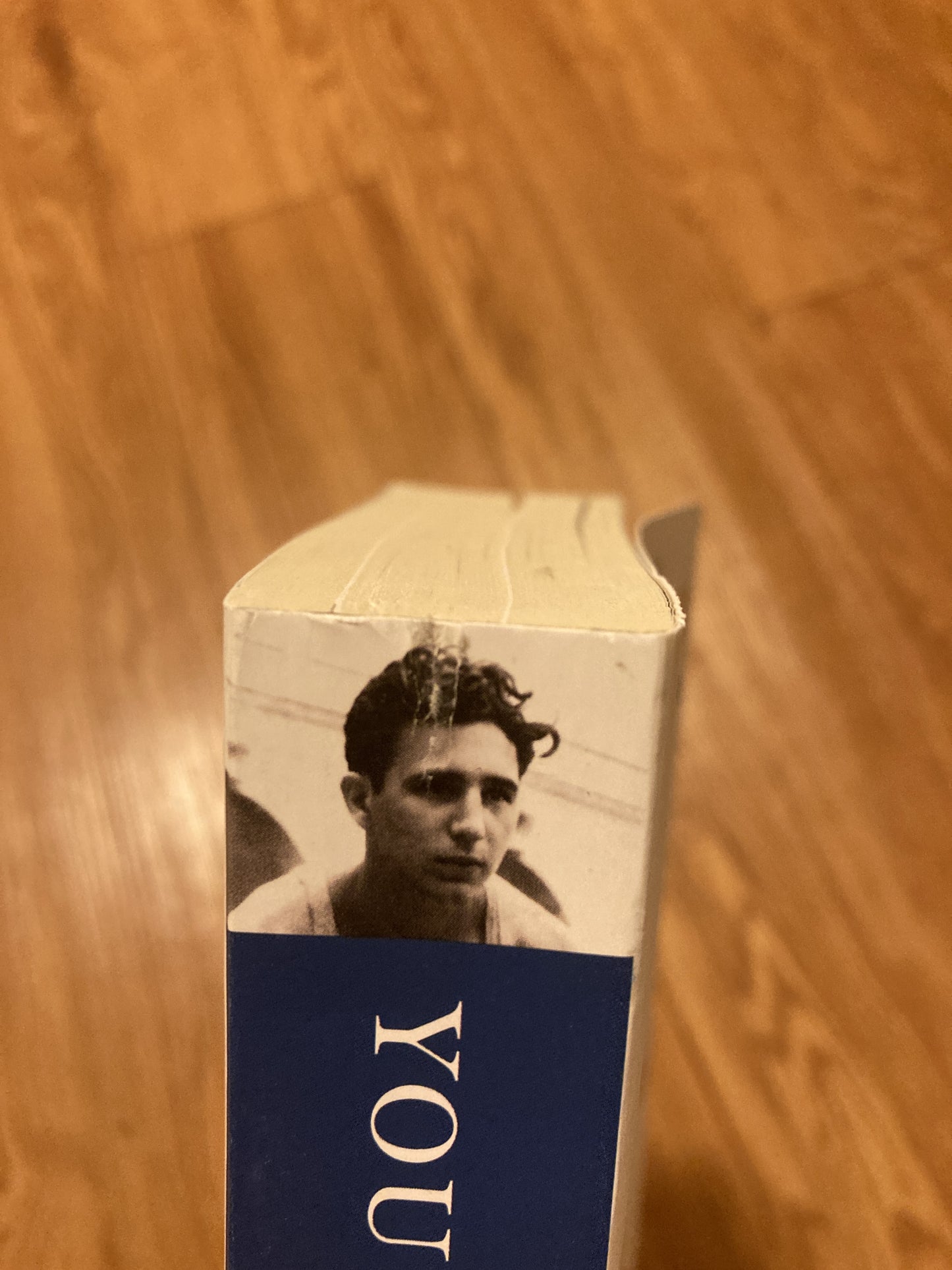 Young Castro: The Making of a Revolutionary