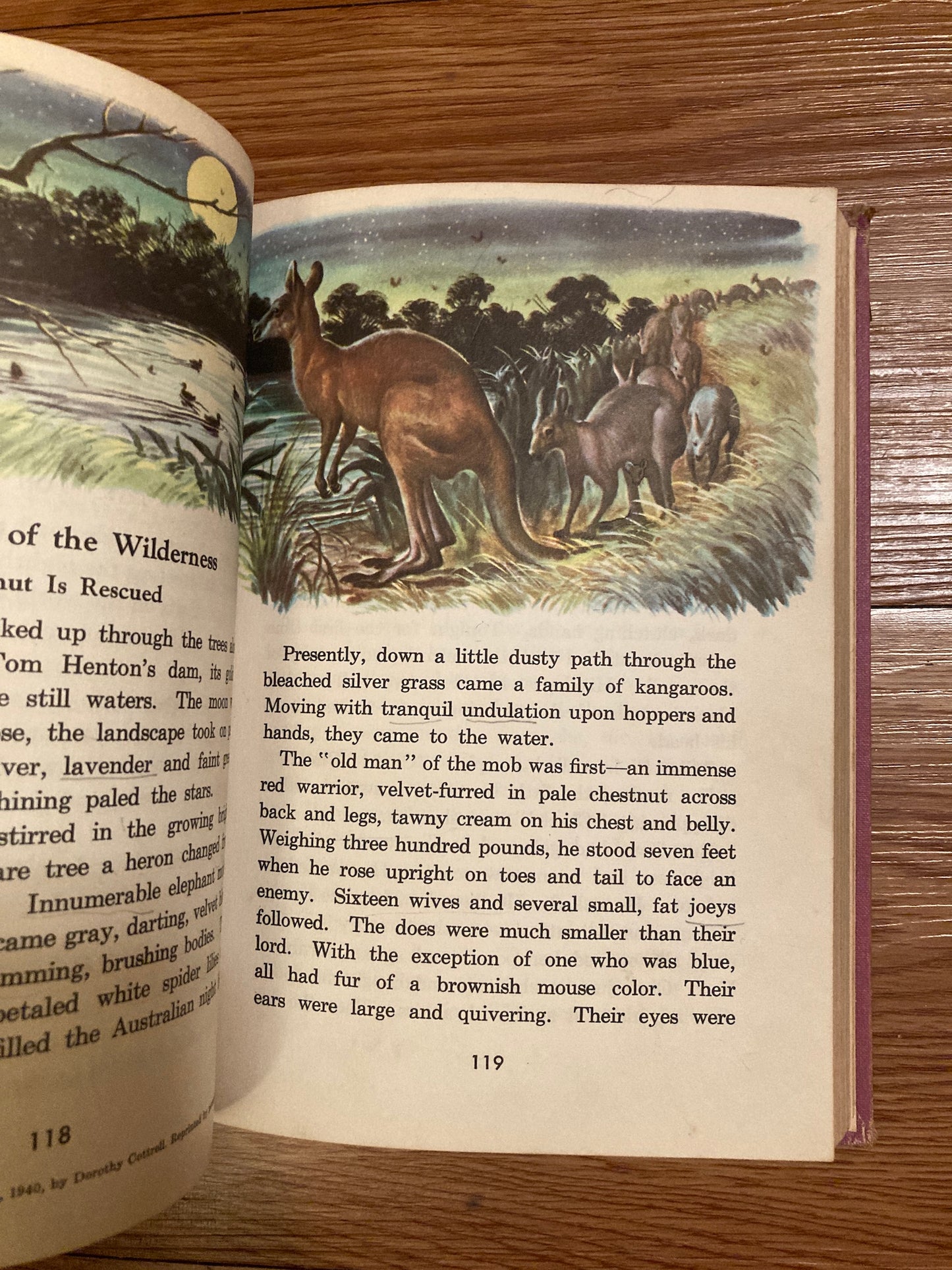 More People and Progress (Grade 6, Level 2), Scott Foresman, 1956