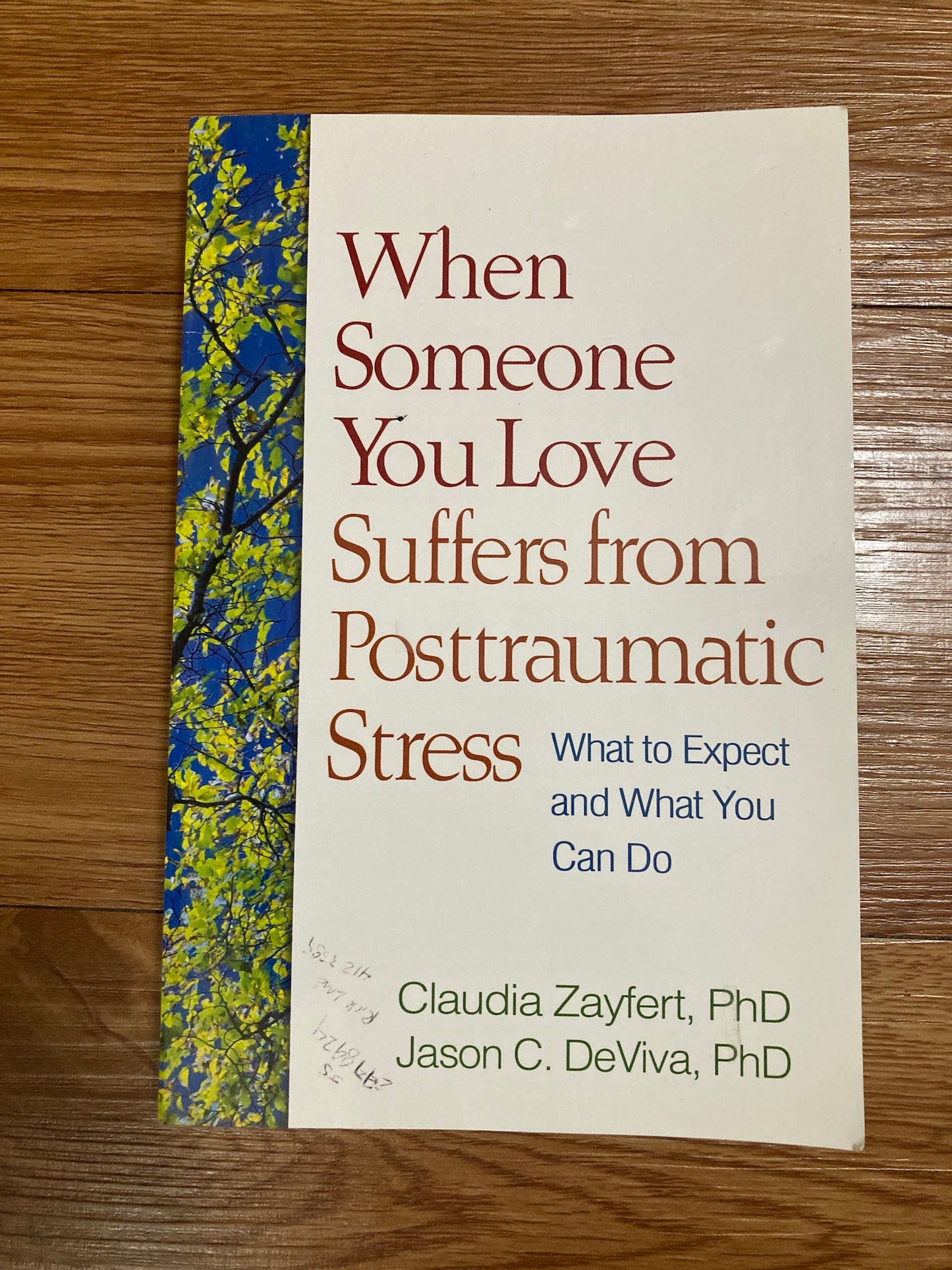 When Someone You Love Suffers from Posttraumatic Stress