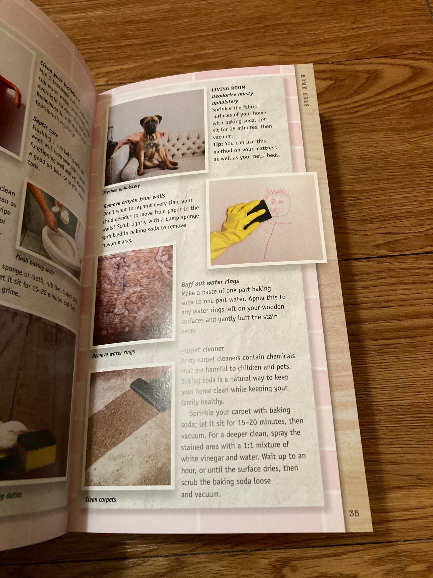 Essential Uses: Baking Soda, Salt, Vinegar, Lemon, Coconut Oil...