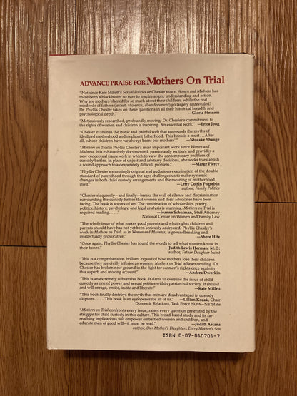 Mothers on Trial: The Battle for Children and Custody