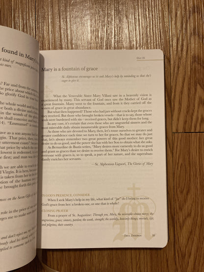 A Year with Mary: Daily Meditations on the Mother of God (IL)