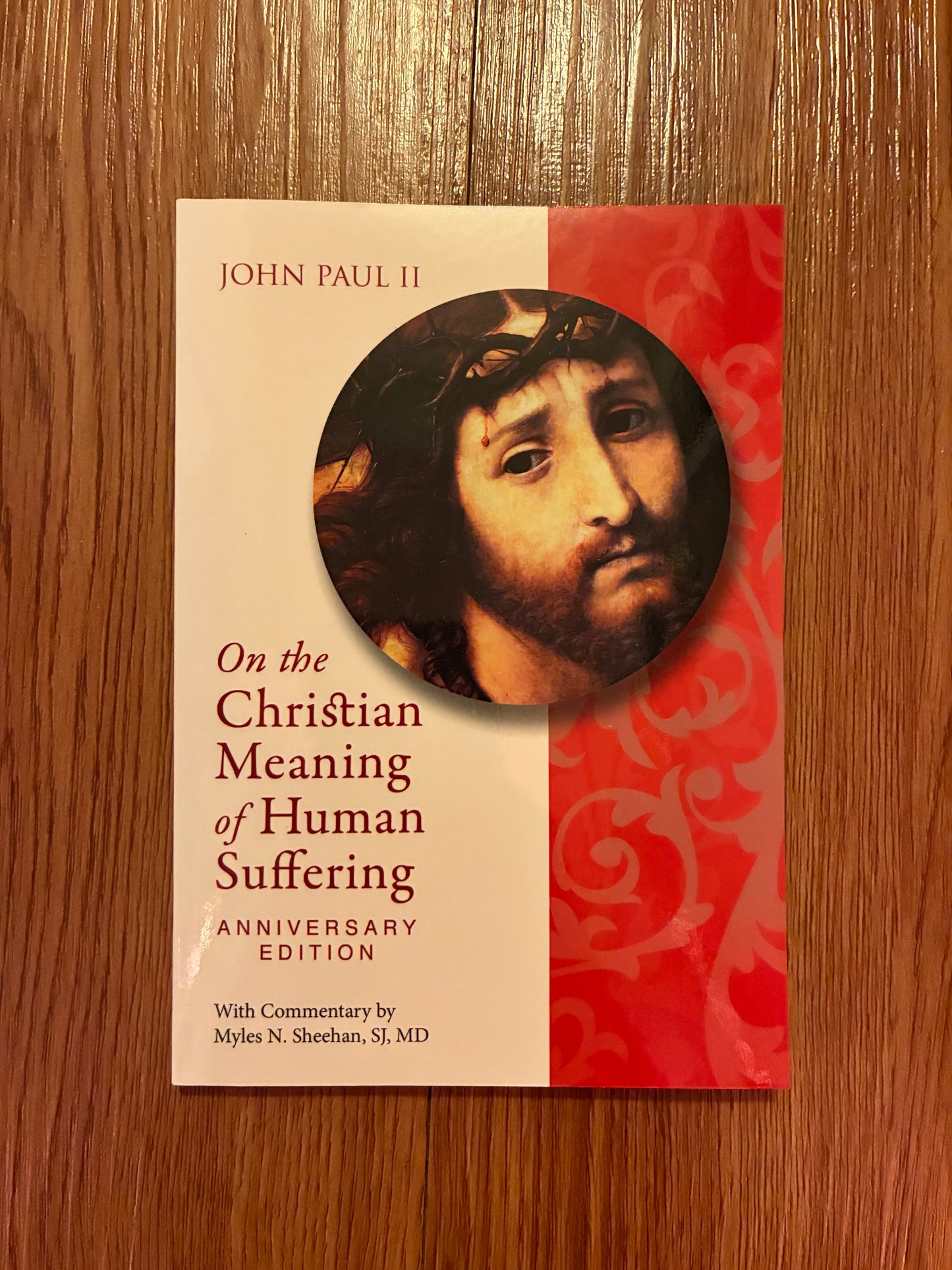 On the Christian Meaning of Human Suffering by Pope John Paul II