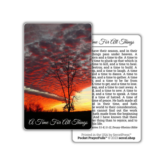 A Time For All Things, Ecclesiastes 3: Pocket PrayerFulls™ | Durable Wallet Prayer Cards | Holy Bible | Scripture