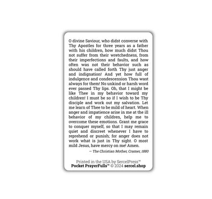 Mother's Prayer for the Spirit of Mildness: Pocket PrayerFulls™ | Durable Wallet Prayer Cards | Catholic Prayers
