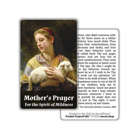 Mother's Prayer for the Spirit of Mildness: Pocket PrayerFulls™ | Durable Wallet Prayer Cards | Catholic Prayers