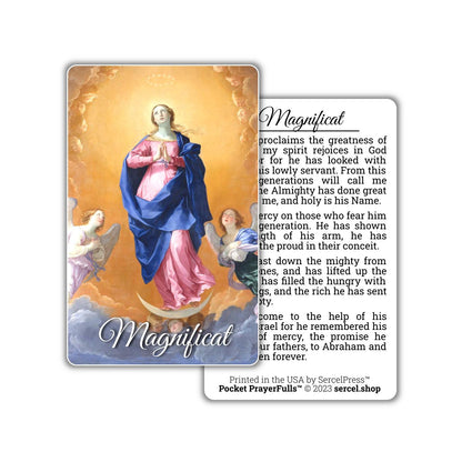 Mary's Collection: 9 Holy Cards | Pocket PrayerFulls™ | Durable Wallet Prayer Cards | Our Lady
