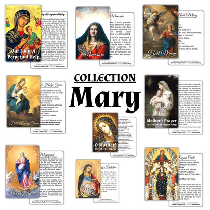 Mary's Collection: 9 Holy Cards | Pocket PrayerFulls™ | Durable Wallet Prayer Cards | Our Lady