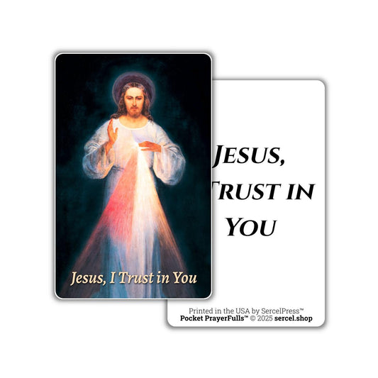 Divine Mercy, Jesus I Trust in You: Pocket PrayerFulls™ | Durable Wallet Prayer Cards | Catholic Prayers