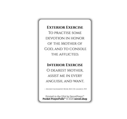 Meditations on the Sorrowful Passion, 31 Durable Plastic Cards on the Mysteries of Christ's Passion | Pocket PrayerFulls™ | Catholic Prayers