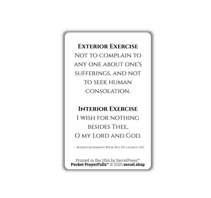 Meditations on the Sorrowful Passion, 31 Durable Plastic Cards on the Mysteries of Christ's Passion | Pocket PrayerFulls™ | Catholic Prayers