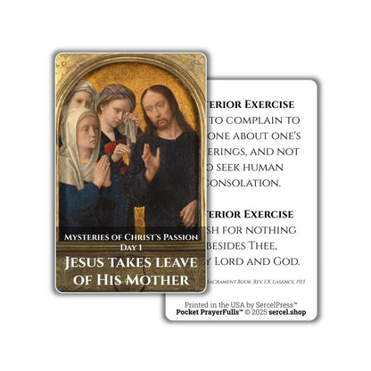 Meditations on the Sorrowful Passion, 31 Durable Plastic Cards on the Mysteries of Christ's Passion | Pocket PrayerFulls™ | Catholic Prayers