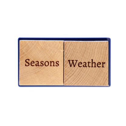 Weather Blocks – Identify Daily Seasons & Weather – Montessori, Homeschool, Classroom Tool – Made in the USA – Wooden Learning Toy