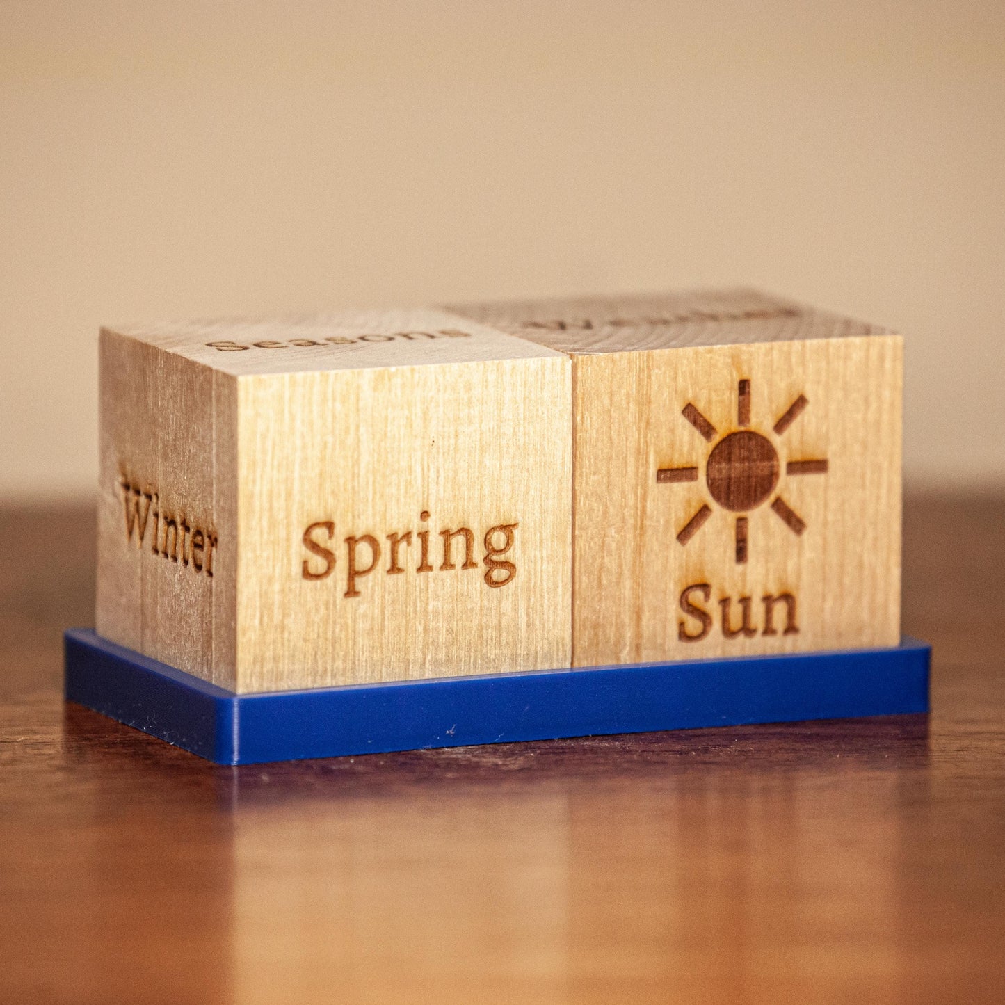 Weather Blocks – Identify Daily Seasons & Weather – Montessori, Homeschool, Classroom Tool – Made in the USA – Wooden Learning Toy