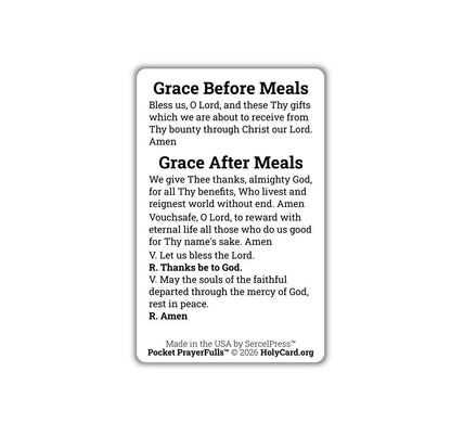 Grace Before and After Meals Prayer Card – Durable Plastic Catholic Holy Card – Catholic Wallet Prayer Card – Made in the USA