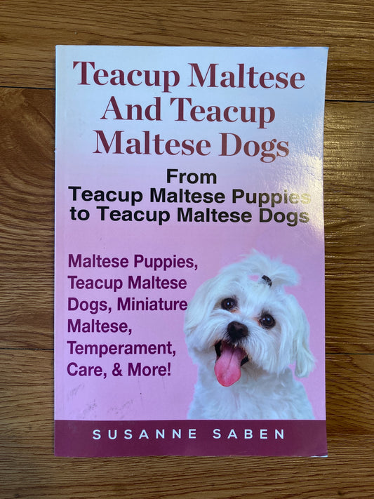 Teacup Maltese And Teacup Maltese Dogs: From Teacup Maltese